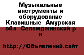 Музыкальные инструменты и оборудование Клавишные. Амурская обл.,Селемджинский р-н